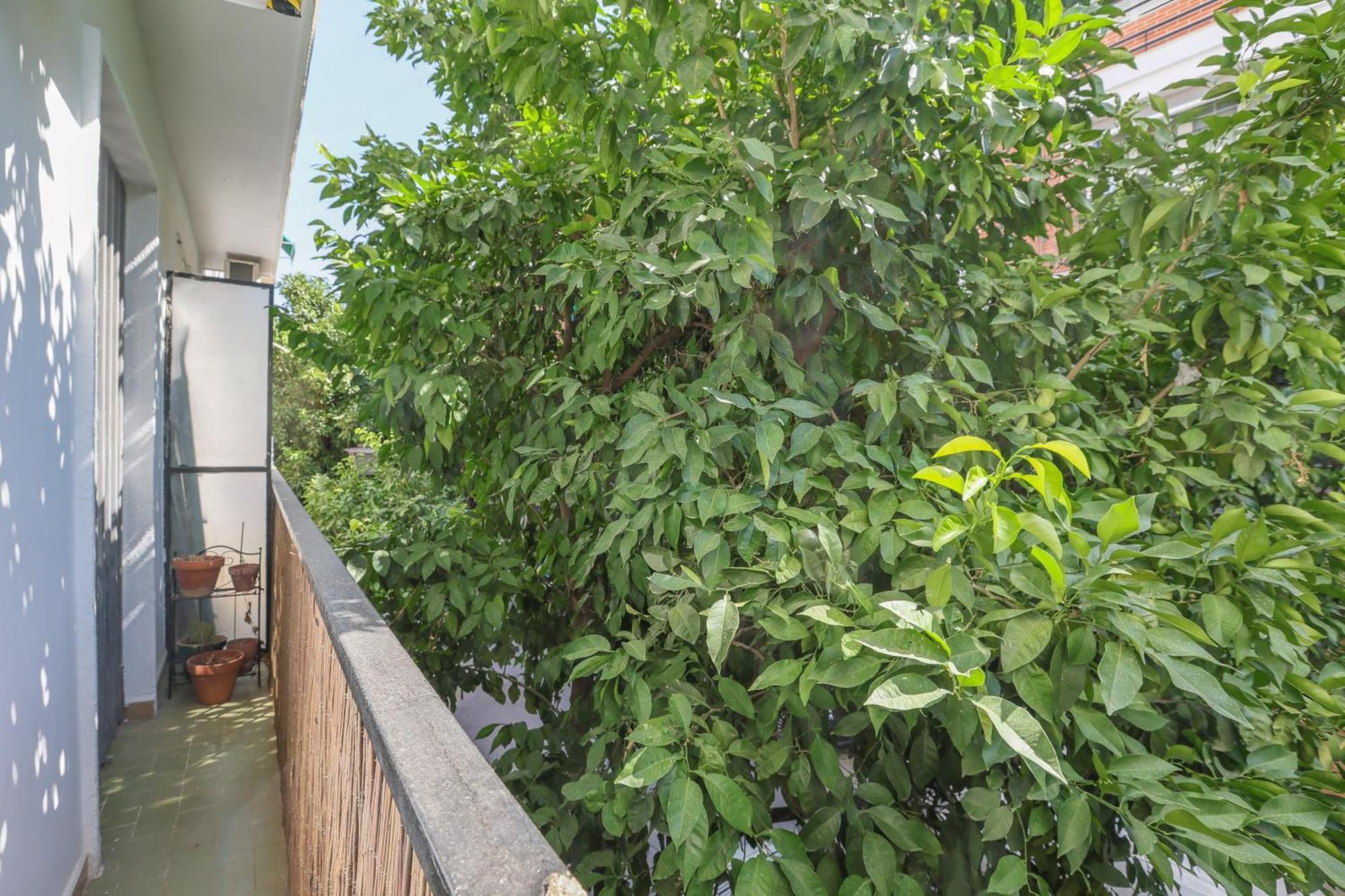 Azahar Gran Plaza Appartement